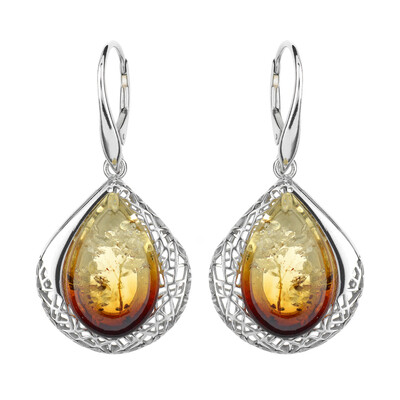 Orecchini in argento con Ambra Sunrise Baltica (dagen)