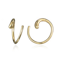 Orecchini in argento