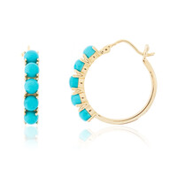 Orecchini in argento con Turchese Sleeping Beauty
