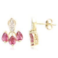 Orecchini in oro con Zaffiro Padparadscha (non riscaldato)