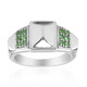 Anello in argento con Tsavorite del Kenya (Remy Rotenier)