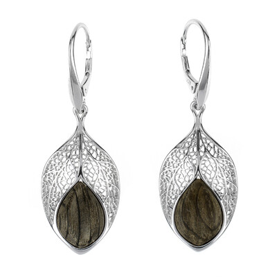 Orecchini in argento con Quercia Nera (dagen)