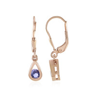 Orecchini in argento con Tanzanite