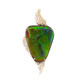 Ciondolo in oro con Ammolite (de Melo)
