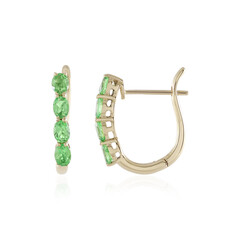 Orecchini in oro con Tsavorite