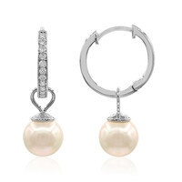 Orecchini in oro con Perla Akoya (TPC)