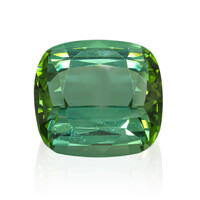 Gemma con Tormalina Verde