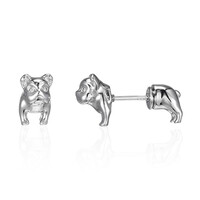Orecchini in argento
