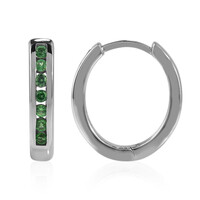 Orecchini in argento con Tsavorite