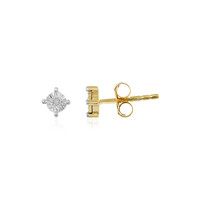 Orecchini in argento con Diamante I3 (J)