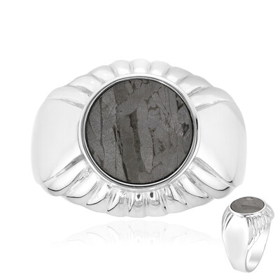 Anello in argento con Meteoriti di Aletai