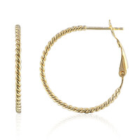 Orecchini in argento