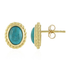 Orecchini in argento con Turchese