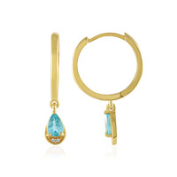Orecchini in argento con Apatite Blu