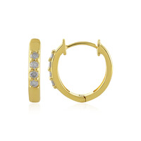 Orecchini in argento con Diamante I4 (J)