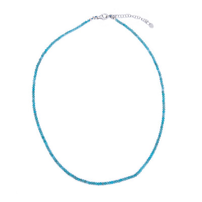 Collana in argento con Apatite Blu