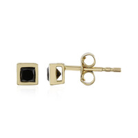 Orecchini in oro con Diamante Nero
