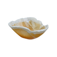 Portaoggetti con Calcite Arancione