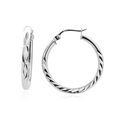 Orecchini in argento