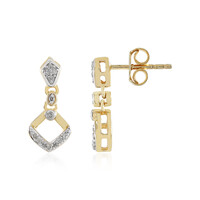 Orecchini in argento con Diamante I2 (I)