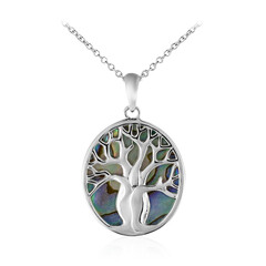 Collana in argento con Conchiglia Abalone