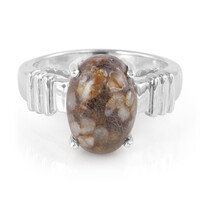 Anello da uomo in argento con Quarzo Dinosauro