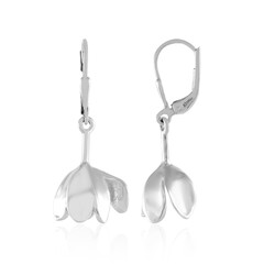 Orecchini in argento