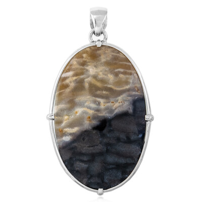 Ciondolo in argento con Legno Fossile