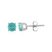 Orecchini in argento con Apatite Blu