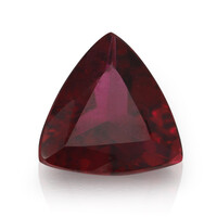 Gemma con Rubellite