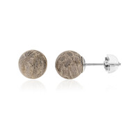 Orecchini in argento con Corallo Pietrificato