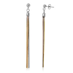 Orecchini in argento