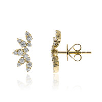 Orecchini in oro con Diamante I1 (G) (CIRARI)