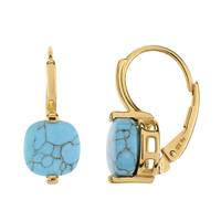 Orecchini in argento con Turchese
