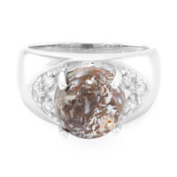 Anello da uomo in argento con Quarzo Dinosauro