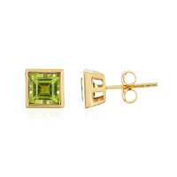 Orecchini in argento con Peridoto Arizona