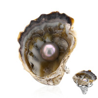 Anello in argento con Conchiglia (TPC)