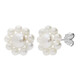 Orecchini in argento con Perla d'Acqua Dolce Bianca