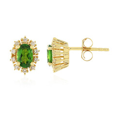Orecchini in argento con Diopside Russo