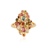 Anello in argento con Tormalina