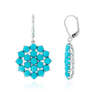 Orecchini in argento con Turchese Sleeping Beauty