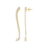 Orecchini in argento con Zircone
