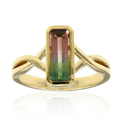 Anello in oro con Tormalina Bicolore