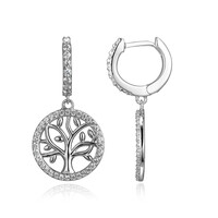 Orecchini in argento con Zircone