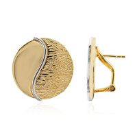 Orecchini in argento