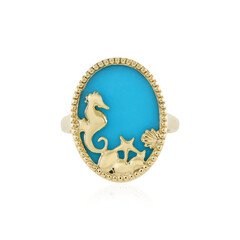 Anello in argento con Turchese