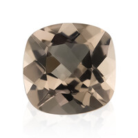 Gemma con Morganite Pesca