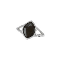 Anello in argento con Legno Fossile