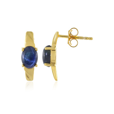Orecchini in argento con Zaffiro Stellato Blu