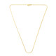 Collana in argento